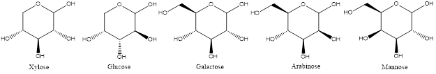 Excipia: hemicellulose in pharmaceutical cellulose excipient